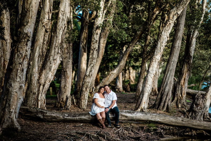 couple sitting on log amongst trees at north avoca
